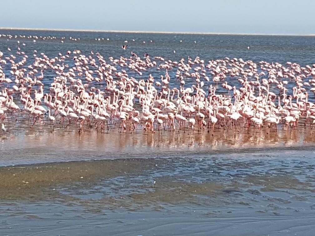Elilo Bed And Breakfast Walvis Bay Eksteriør bilde