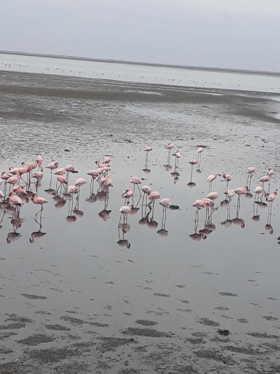 Elilo Bed And Breakfast Walvis Bay Eksteriør bilde